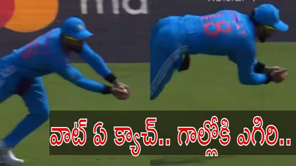 Ind Vs Aus World Cup Updates Virat Kohli Takes Stunning Catch To