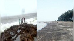 సెల్ఫీ తీసుకుంటున్న యువకుడిని లోపలికి లాక్కెళ్లిన సముద్ర కెరటం!