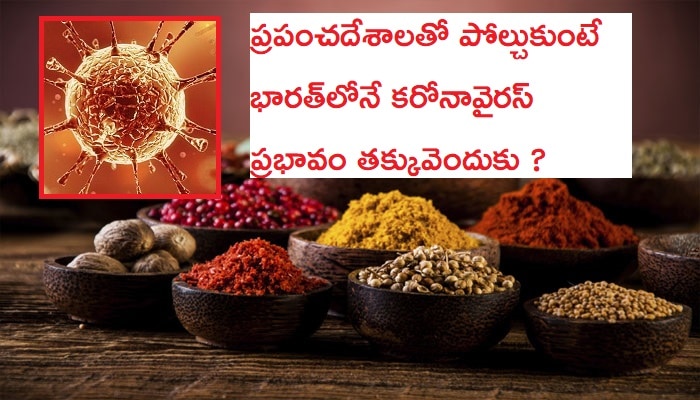 Coronavirus in India: కరోనావైరస్ భారత్లో అంతగా వ్యాపించకపోవడానికి కారణాలు ఇవేనా ? Coronavirus in India: కరోనావైరస్ భారత్లో అంతగా వ్యాపించకపోవడానికి కారణాలు ఇవేనా ?