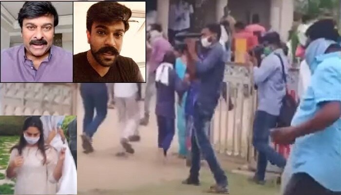 Chiranjeevi, రామ్ చరణ్, ఉపాసనలపై తేనేటీగల దాడి Chiranjeevi, రామ్ చరణ్, ఉపాసనలపై తేనేటీగల దాడి