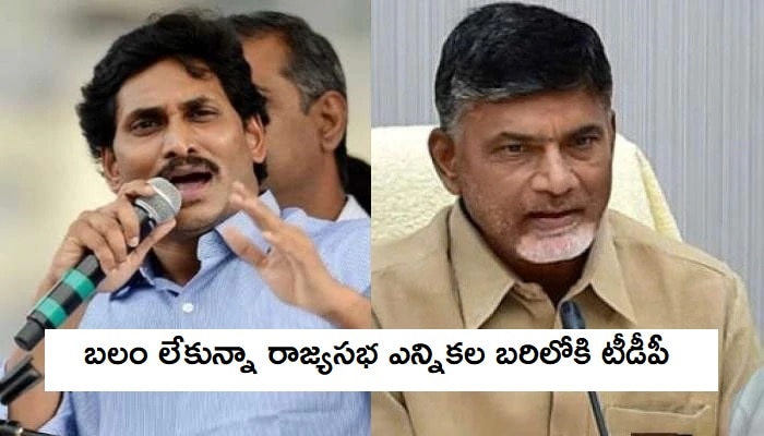 YSRCP 4 సీట్లు క్వీన్‌స్వీప్ చేయడం ఖాయం!