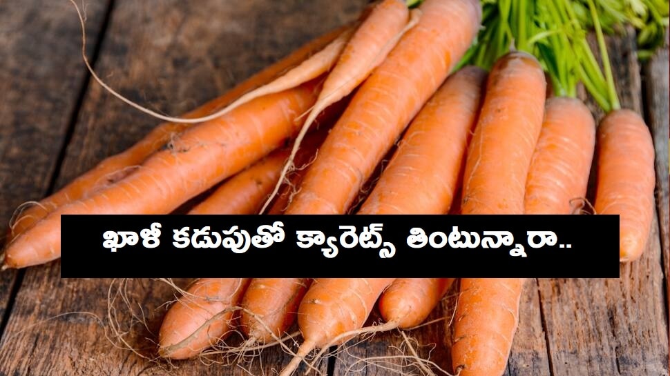 Carrot Benefits: క్యారెట్ తింటే ఈ 10 ప్రయోజనాలు తెలుసా! Carrot Benefits: క్యారెట్ తింటే ఈ 10 ప్రయోజనాలు తెలుసా!