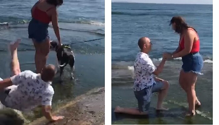 Viral video: గాళ్ఫ్రెండ్కి ప్రపోజ్ చేయబోయి చెరువులో పడ్డాడు Viral video: గాళ్ఫ్రెండ్కి ప్రపోజ్ చేయబోయి చెరువులో పడ్డాడు
