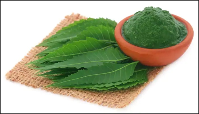 Health tips: వేపాకుతో ఇన్ని లాభాలు, ప్రయోజనాలా ? Health tips: వేపాకుతో ఇన్ని లాభాలు, ప్రయోజనాలా ?