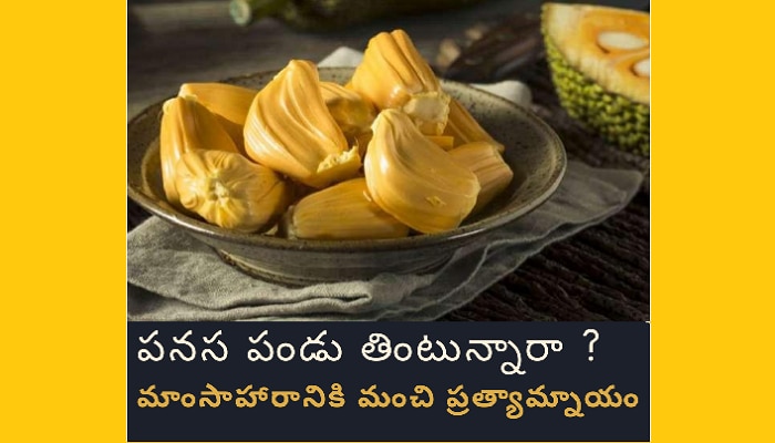 Jackfruit benefits: పనస పండుతో ప్రయోజనాలు.. మాంసాహారానికి మంచి ప్రత్యామ్నాయం Jackfruit benefits: పనస పండుతో ప్రయోజనాలు.. మాంసాహారానికి మంచి ప్రత్యామ్నాయం