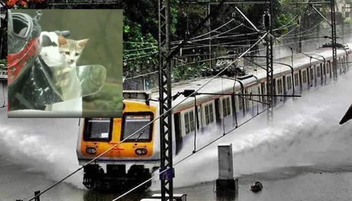 Mumbai Rains Video: దడ పుట్టిస్తున్న ముంబై వర్షాల వీడియోలు Mumbai Rains Video: దడ పుట్టిస్తున్న ముంబై వర్షాల వీడియోలు