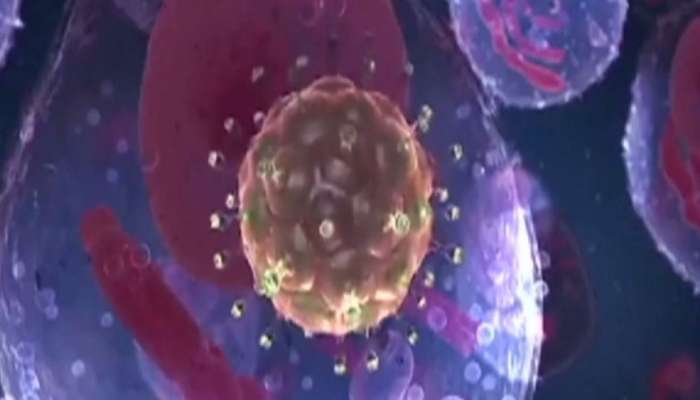 Corona update: తమిళనాట 3 లక్షలు దాటిన కరోనా కేసులు Corona update: తమిళనాట 3 లక్షలు దాటిన కరోనా కేసులు