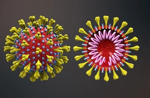 Corona Antibody వచ్చేసింది, ఇక వ్యాక్సిన్ పై తొందరపాటు అవసరం లేదు!