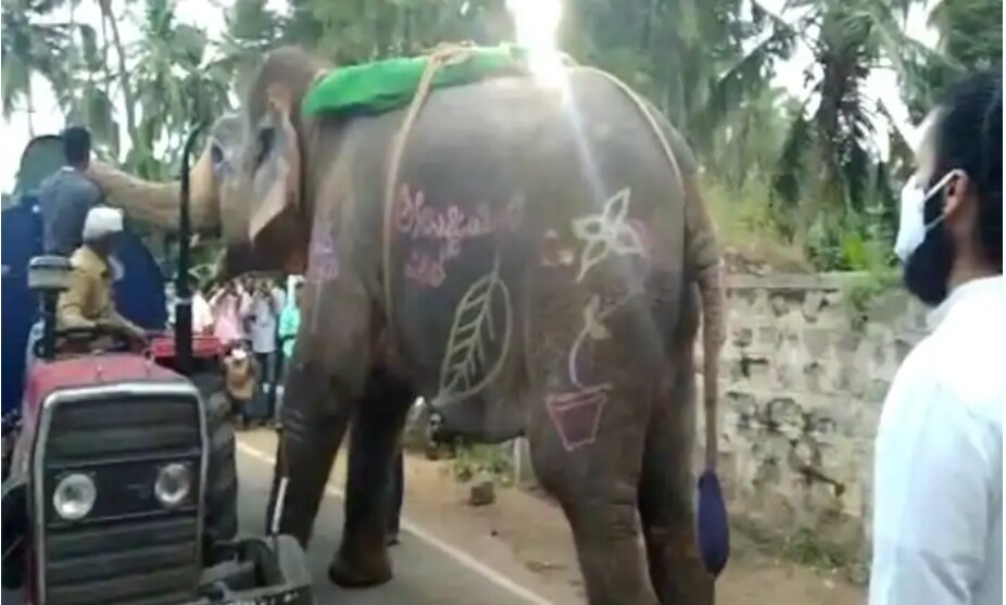 Elephant Video: పాపం ఏనుగుకు ఎంత దాహం వేసిదంటే.. ట్యాంకర్ నుంచి నీరు తాగేసింది