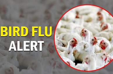 Bird flu outbreak reported in Himachal Pradesh, Kerala, Madhya Pradesh and Rajasthan