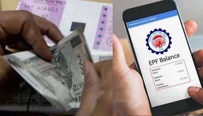 EPF Passbook Download: EPFO Member Can Check PF Interest Rate Credit At ...