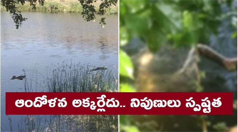 Dead Bodies In Ganga: నదిలో COVID-19 మృతదేహాలు, వైరస్ వ్యాప్తిపై నిపుణులు ఏమన్నారంటే