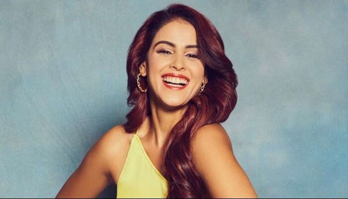 Genelia: వల్గర్‌ ఆంటీ అంటూ జెనీలియాపై ట్రోలింగ్‌.. ఘాటుగా స్పందించిన జెనీలియా