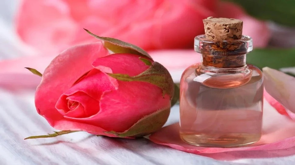 Rose Water Health Benifits : రోజ్ వాటర్‌తో కలిగే లాభాలు అన్నీ ఇన్నీ కావు...