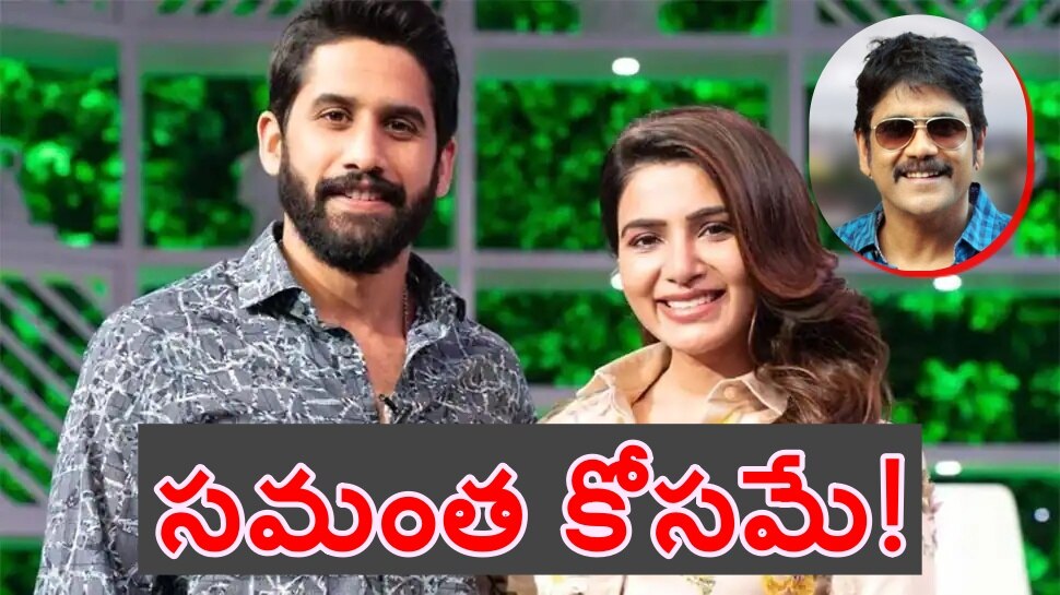 Nagarjuna on Samantha Divorce: &quot;విడాకులు అడిగింది సమంతనే&quot;.. నాగార్జున సంచలన వ్యాఖ్యలు