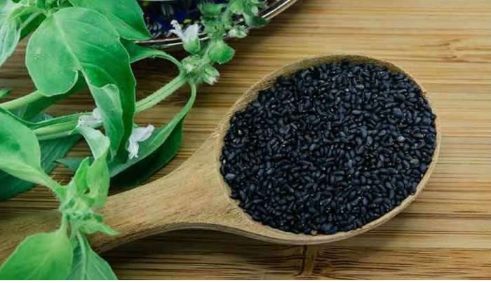 Tulsi Seeds: కేన్సర్ కణాల్ని సైతం నియంత్రించగలిగే ఆ విత్తనాలేంటో తెలుసా