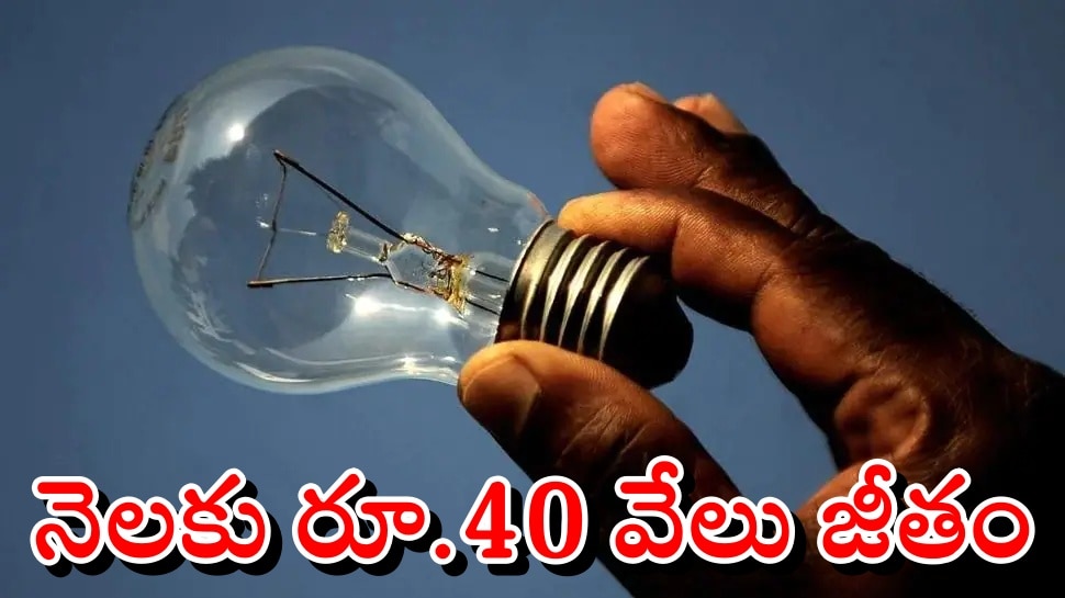 Bulb Changing Job A person getting Rs 40,000 per month Salary For
