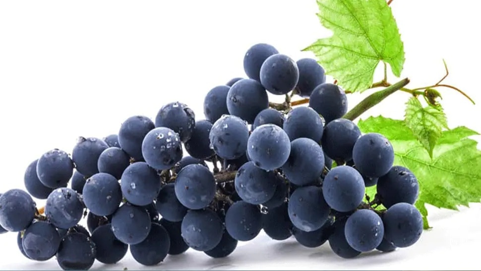 Black Grapes Benefits health benefits of eating Black Grapes Black