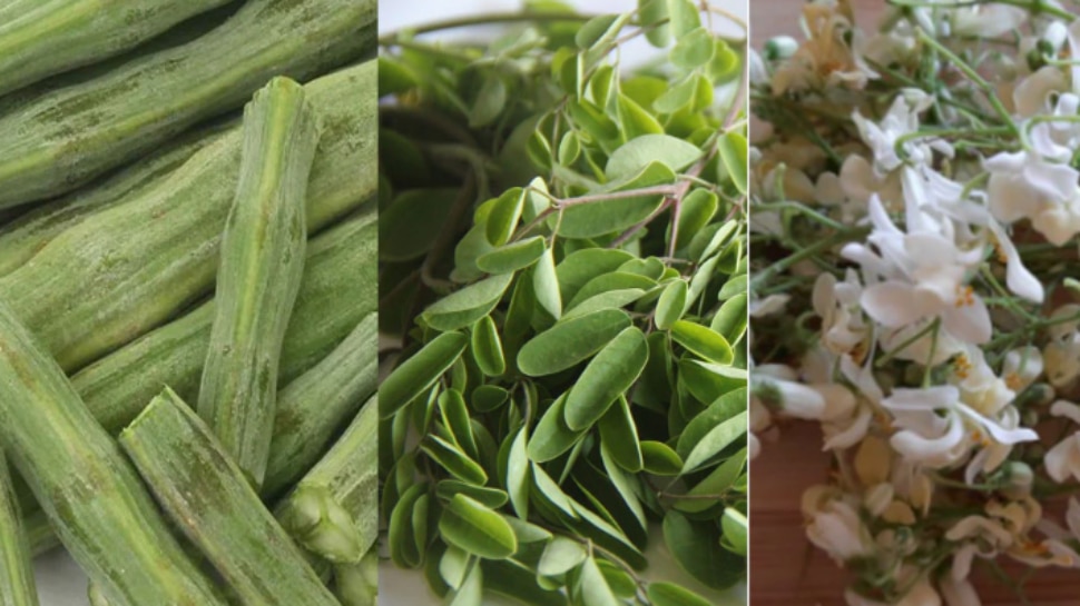 Drumstick Benefits Unbelievable Health Benefits of Eating Drumstick