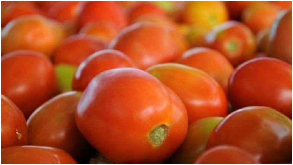 Tomato Price Hike: సామాన్యులకు షాక్.. భారీగా పెరిగిన టమోట ధర! కిలో ఎంతంటే..