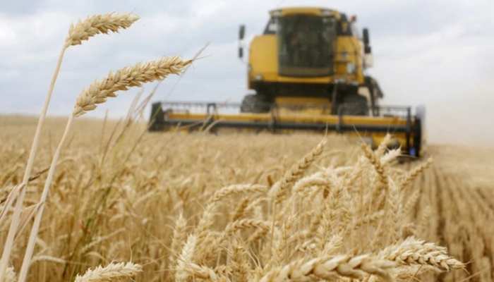 Wheat Prices Hiked: ఆకాశాన్నంటుతున్న గోధుమ ధరలు.. కారణం ఏంటంటే..