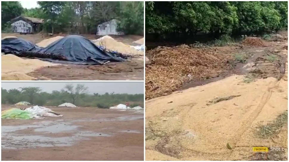 Unseasonal rains: అకాల వర్షాలతో తెలుగు రాష్ట్రాల రైతులకు తీరని నష్టం