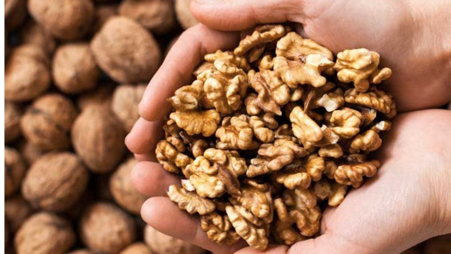 benefits-of-walnuts-for-male-how-many-walnuts-should-you-eat-in-a-day