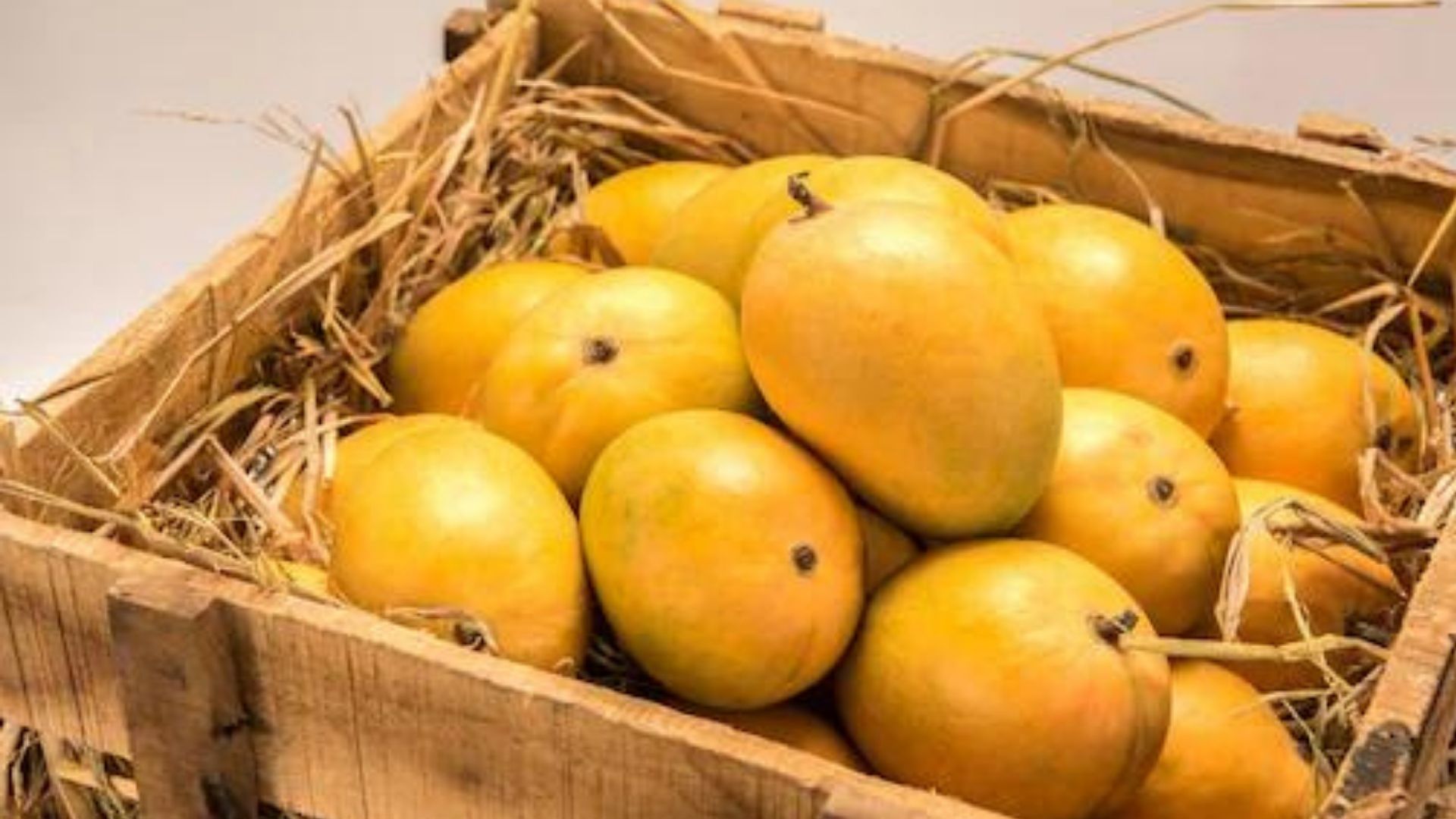 Mango Season: మధుమేహం వ్యాధిగ్రస్తులు కూడా మామిడి పండ్లను తినొచ్చు..!!