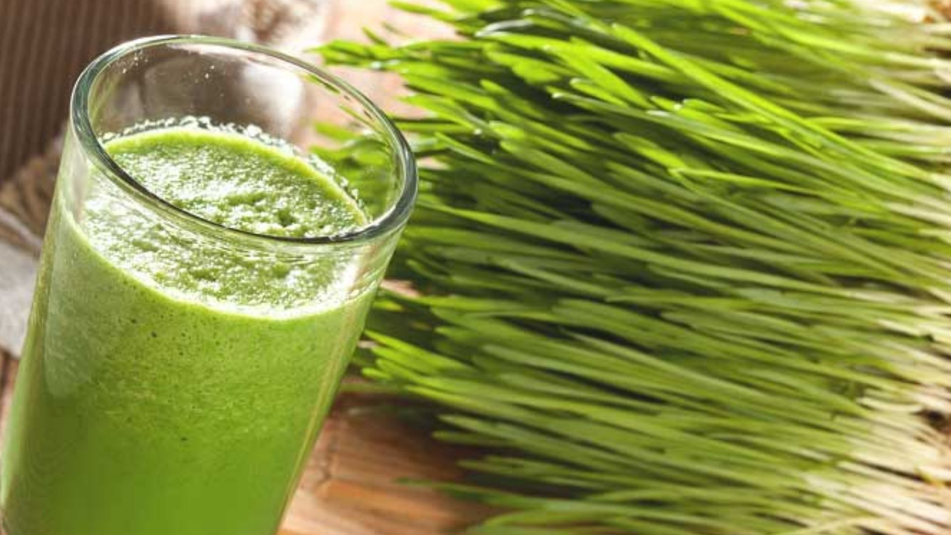 Wheatgrass Benefits Drik Wheatgrass Juice Gives To Benefits For