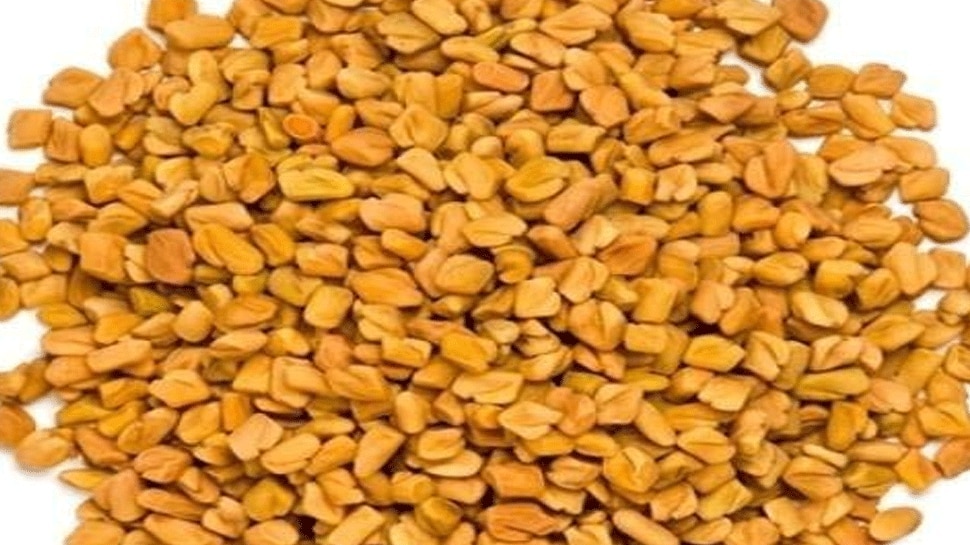 Fenugreek Seeds Benefits fenugreek seeds for menFenugreek Seeds