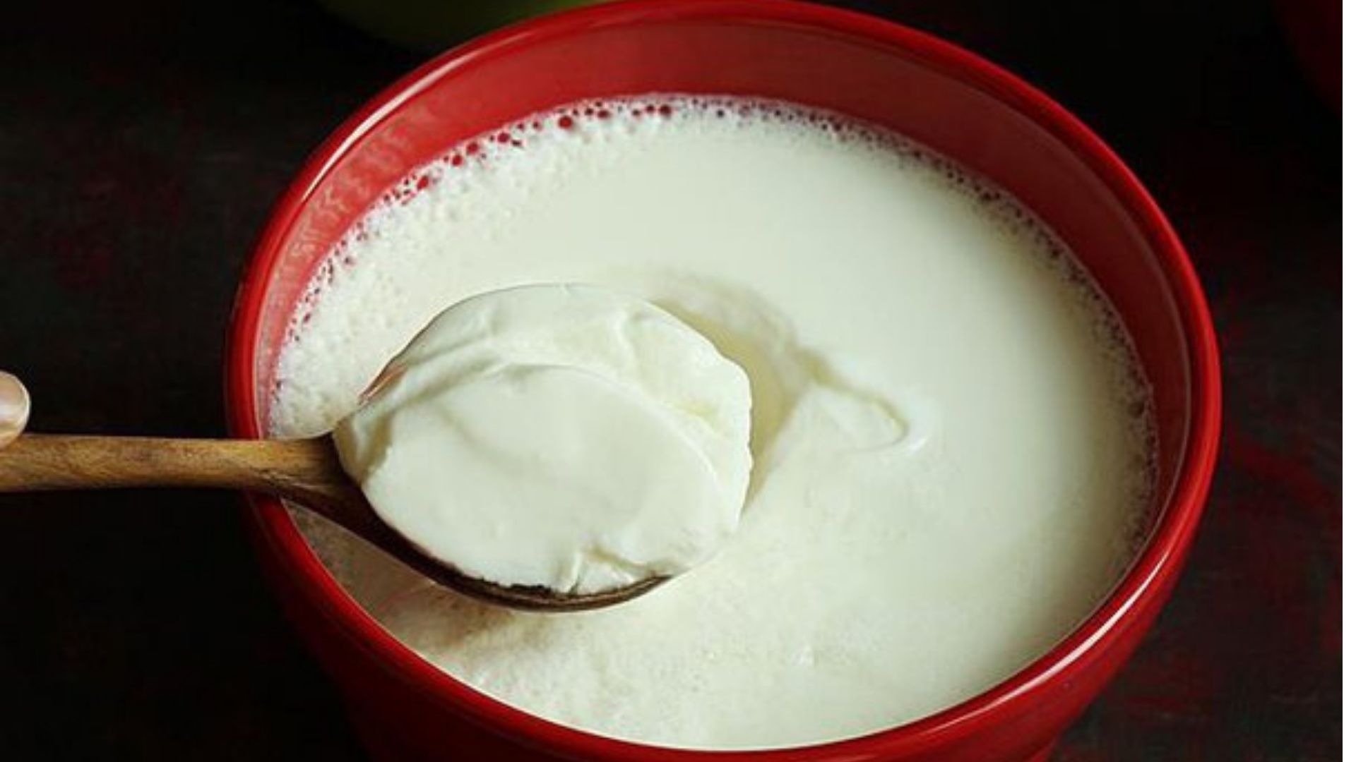 Artisanal Curd Benefits