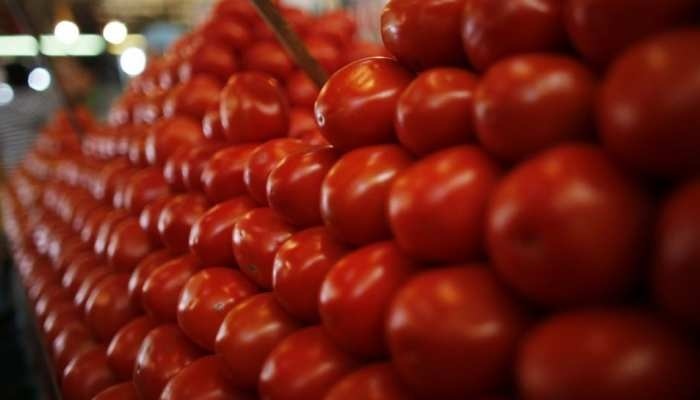 Tomato Price: తెలుగు రాష్ట్రాల్లో ఆకాశాన్నంటిన టొమాటో ధర, కిలో టొమాటో ఇప్పుడు వంద రూపాయలు