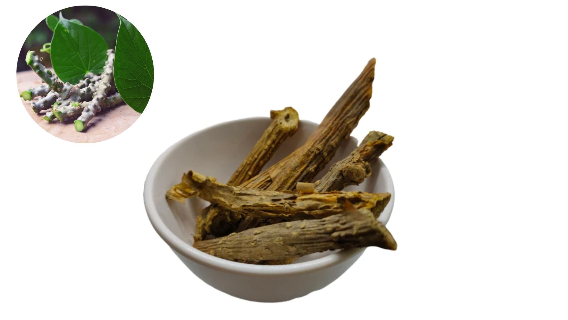 Giloy Benefits Do You Know Benefits Of Giloy bark To The Skin Giloy Benefits తిప్ప బెరడు