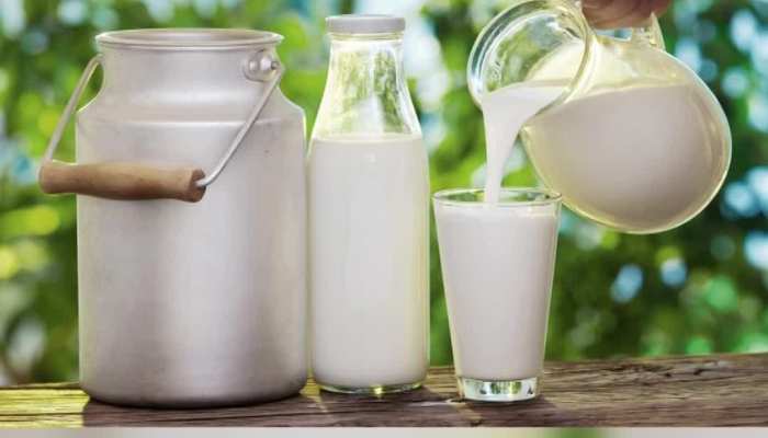 World Milk Day 2022: నేడు ప్రపంచ పాల దినోత్సవం.. అసలు ఇది ఎందుకు జరుపుకుంటారు.. దీని ప్రాముఖ్యత ఏంటి...