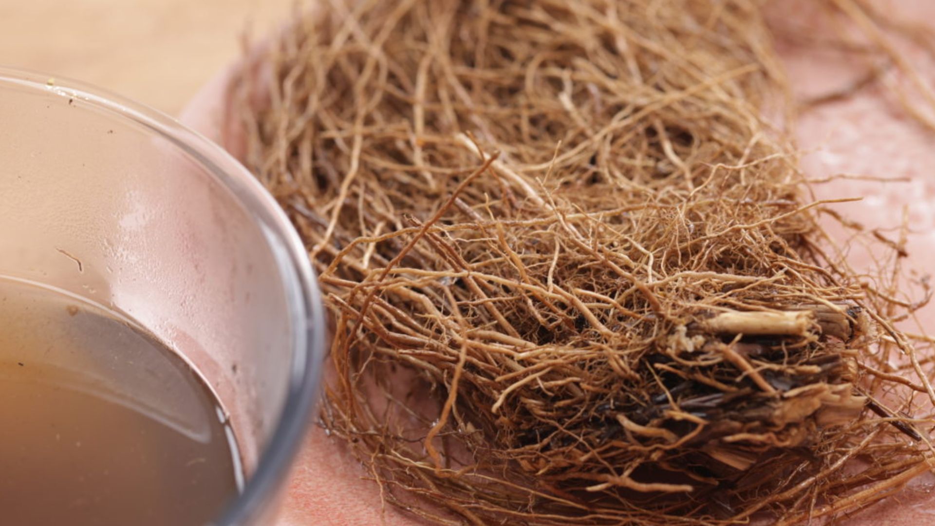 Benefits Of Khus Water Do You Know How Many Benefits There Are For The