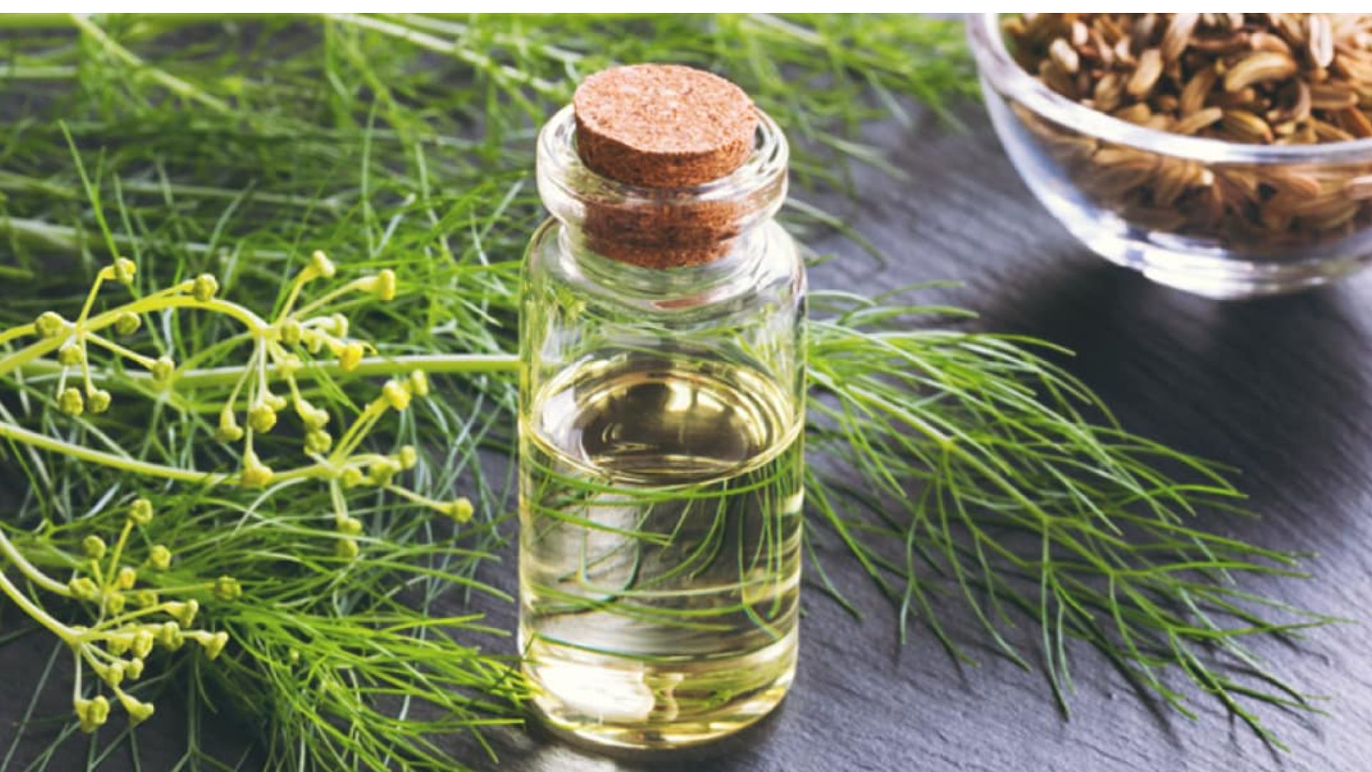 Fennel Oil For White Hair: సోపు నూనె వల్ల జుట్టుకు ఎన్ని ప్రయోజనాలున్నాయో తెలుసా..!!