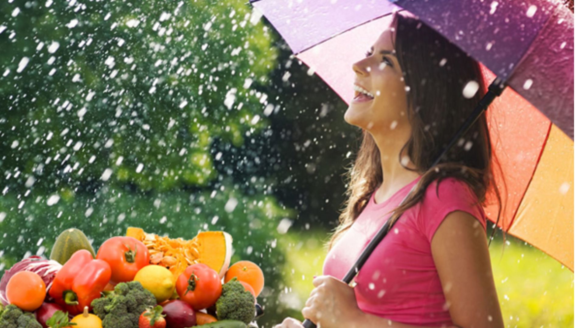 Monsoon Health Tips: వాన కాలం తప్పకుండా ఈ జాగ్రత్తలు పాటించాలి.. లేక పోతే ఈ వ్యాధులు తప్పవు..!