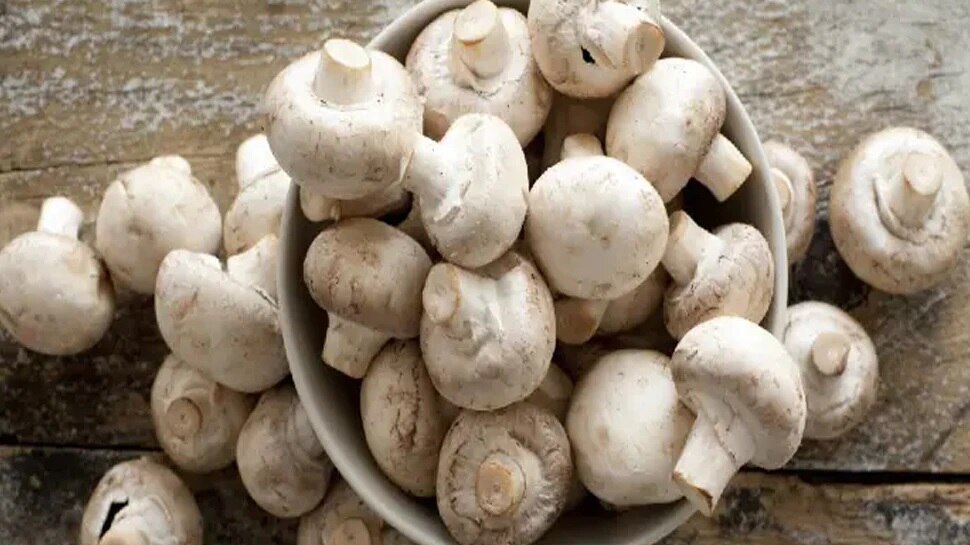 Vitamin D source of food and rich in vegetarian food of mushrooms and