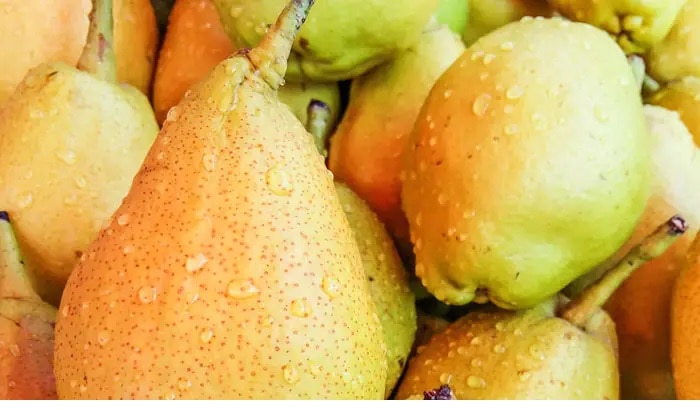 Monsoon Fruits: వర్షాకాలం సీజనల్ ఫ్రూట్స్‌లో డయాబెటిక్ రోగులు ఏం తినవచ్చు