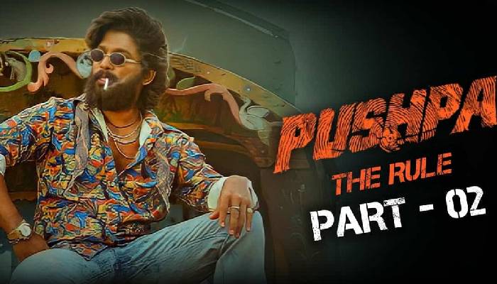 Pushpa The Rule Auditions: &#039;పుష్ప&#039;లో అల్లు అర్జున్ పక్కన నటించాలని ఉందా? .. ఇలా చేయండి చాలు!