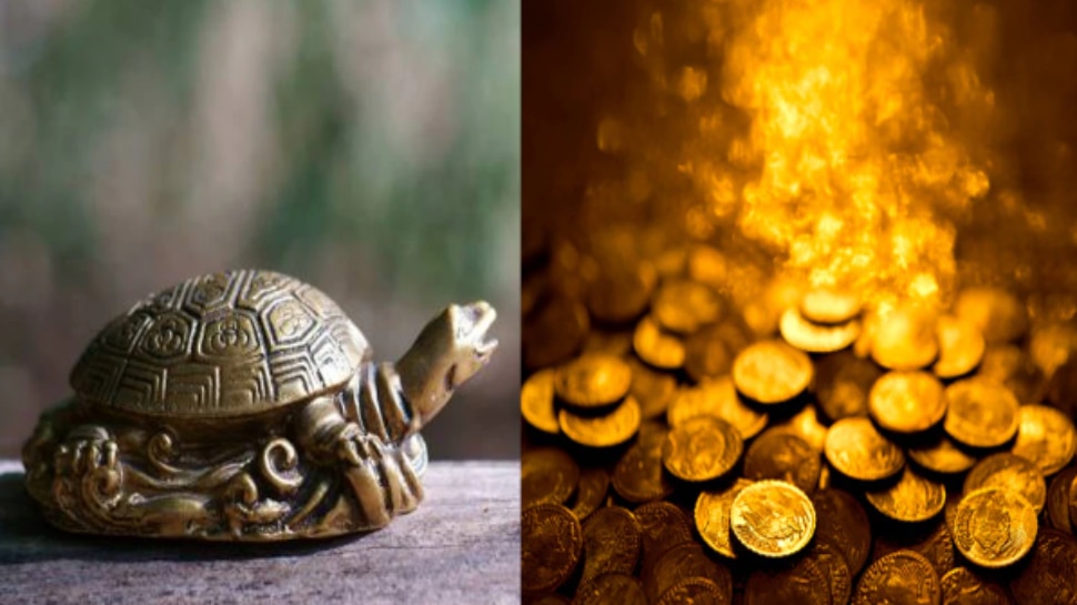 Vastu Tips for Tortoise: తాబేలు మీ ఇంట్లో ఉంటే.. ధనలక్ష్మీ మీ వెంటే..!