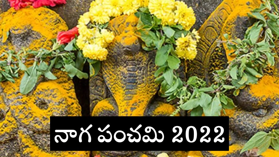 Nag panchami 2022: నాగ పంచమి ఎప్పుడు? దీని ప్రాముఖ్యత ఏంటి?