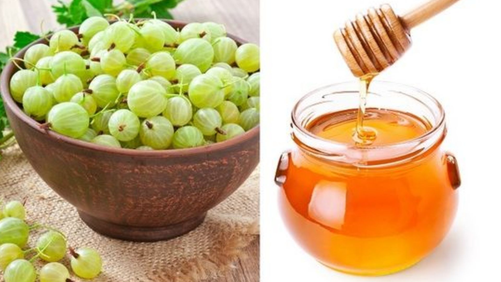 Amla And Honey Mix Benefits: Amla And Honey Mix For Diabetes Indian  Gooseberry Decrease To Blood Sugar Level | Amla And Honey Mix Benefits:  మధుమేహంతో బాధపడుతున్నారా.. అయితే ఇది మీ కోసమేNews in Telugu