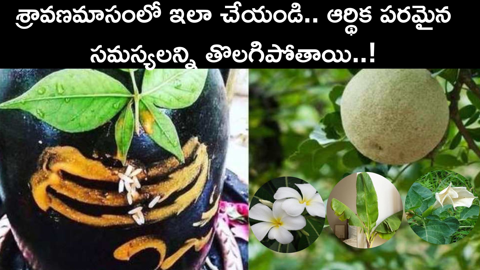 Vastu Tips For Tulsi: శ్రావణమాసంలో తులసి మొక్కలలో పాటు ఈ మొక్కలను నాటండి.. ఆర్థిక పరమైన సమస్యలన్ని తొలగిపోతాయి..!