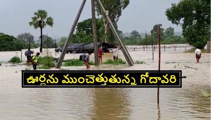 Heavy Rains in Telangana : ఉగ్రరూపం దాల్చుతున్న గోదావరి.. ఆ 4 జిల్లాల్లో హై అలర్ట్