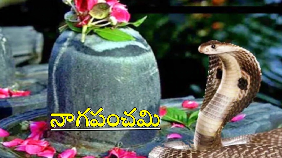 Naga Panchami 2022: నాగపంచమి ఎప్పుడు, శుభ సమయం, పూజా విధానం గురించి తెలుసుకోండి