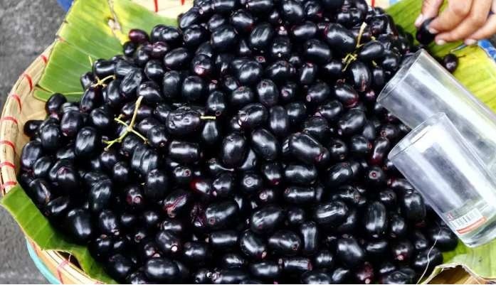 Jamun Benefits: నేరేడు పండ్లు ఇలా తీసుకుంటే...కొద్ది వారాల్లోనే బరువు తగ్గడం ఖాయం