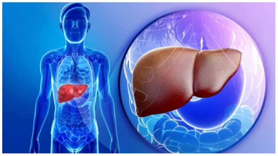 Healthy Liver Tips: లివర్ సమస్యకు మద్యపానం కారణం కాదు..ఈ 8 అలవాట్లు మానేయండి