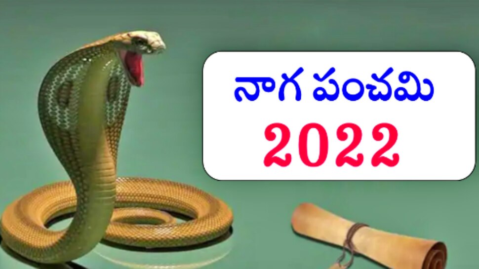 Naga panchami 2022: నాగపంచమి రోజు ఇంటి బయట ఈ ఒక్క పేరు రాయండి చాలు.. పాములు ఎప్పుడూ మీ ఇంట్లోకి రావు!