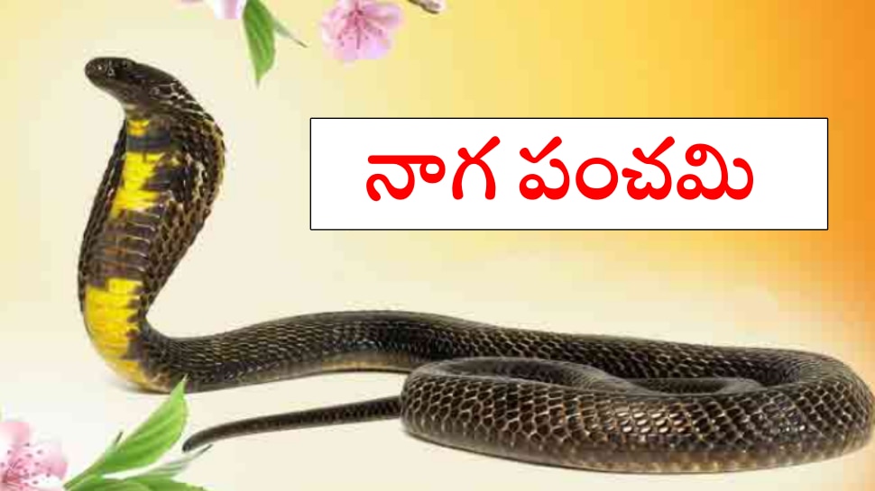 Naga Panchami 2022: రాహు-కేతు దోషాలను పోగొట్టుకోవడానికి.. నాగపంచమి రోజు ఇలా చేయండి!